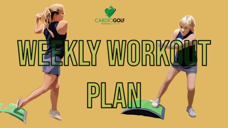 Simply sign into your CardioGolf® Online Studio Subscription and after that go to tv.cardiogolf.com.